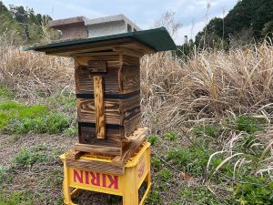 日本みつばち養蜂体験