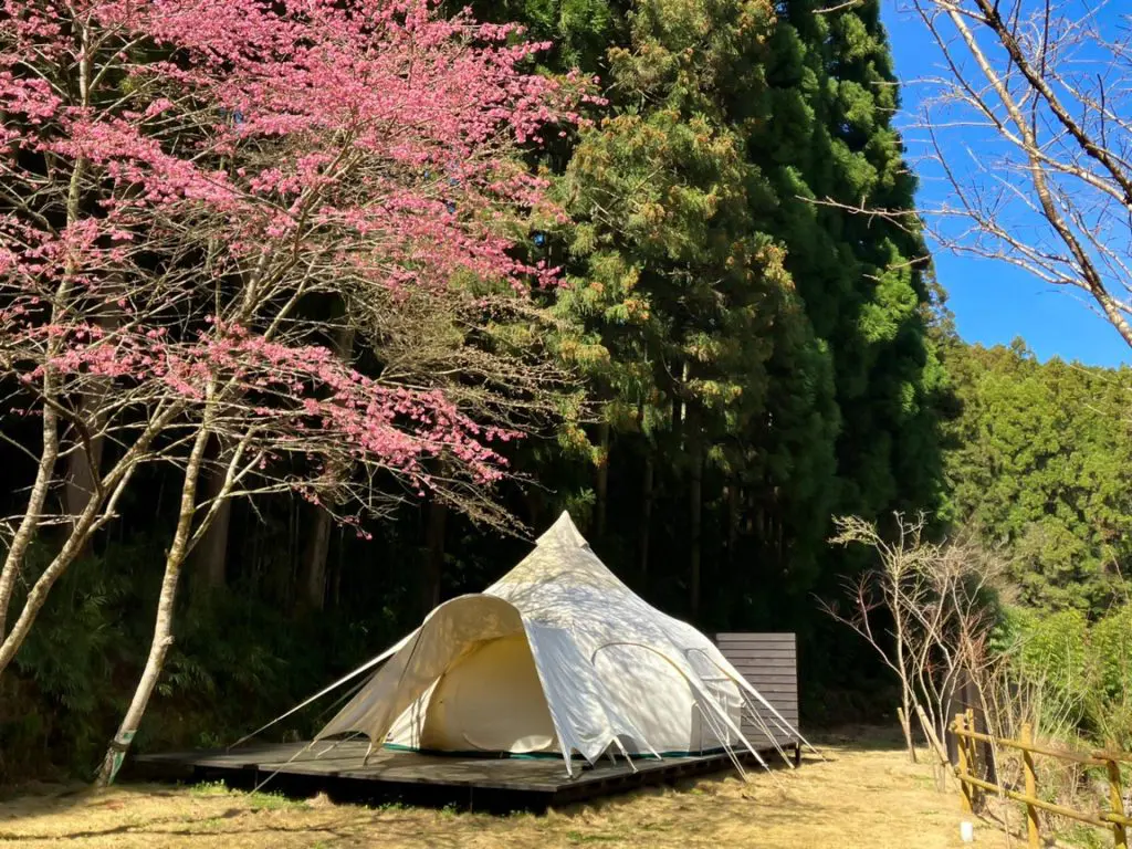 田篭の灯りにも桜が咲いています。